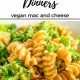 Daniel Fast: Best Vegan Cheese Options [Guide] | Discover Delicious Vegan Food, Beauty Swaps, and Zero-Waste Tips for a Greener Life