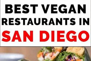 Best Vegan Restaurants in San Diego, CA: Guide | Discover Delicious Vegan Food, Beauty Swaps, and Zero-Waste Tips for a Greener Life