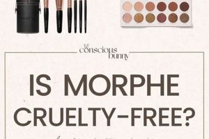 Guide: Is Morphe Truly Cruelty-Free & Vegan? + Alternatives | Discover Delicious Vegan Food, Beauty Swaps, and Zero-Waste Tips for a Greener Life