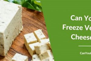Freezing Vegan Cheese: Can You Really Do It? Tips & Tricks Discover Delicious Vegan Food, Beauty Swaps, and Zero-Waste Tips for a Greener Life Freezing Vegan Cheese: Can You Really Do It? Tips & Tricks | Discover Delicious Vegan Food, Beauty Swaps, and Zero-Waste Tips for a Greener Life