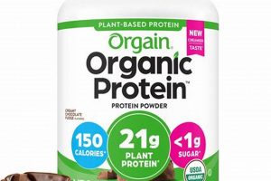 Best Chocolate Protein Powder Vegan: Fuel Your Gains! | Discover Delicious Vegan Food, Beauty Swaps, and Zero-Waste Tips for a Greener Life
