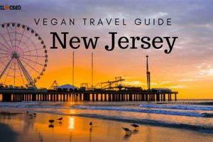 The Best Vegan Restaurants in South Jersey: Guide & More Discover Delicious Vegan Food, Beauty Swaps, and Zero-Waste Tips for a Greener Life The Best Vegan Restaurants in South Jersey: Guide & More | Discover Delicious Vegan Food, Beauty Swaps, and Zero-Waste Tips for a Greener Life