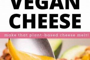 Best Vegan Cheese That Melts: Guide &amp; Reviews | Discover Delicious Vegan Food, Beauty Swaps, and Zero-Waste Tips for a Greener Life