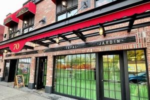 Best Vegan Restaurants on Staten Island: Find Your Plate! | Discover Delicious Vegan Food, Beauty Swaps, and Zero-Waste Tips for a Greener Life