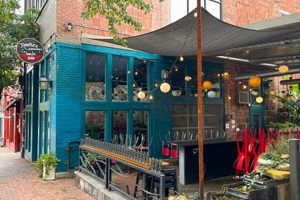 Best Vegan Restaurants in Asheville, NC: A Guide | Discover Delicious Vegan Food, Beauty Swaps, and Zero-Waste Tips for a Greener Life