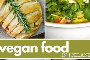 The Ultimate Guide to Vegan Food in Iceland (Tips & Tricks!) | Discover Delicious Vegan Food, Beauty Swaps, and Zero-Waste Tips for a Greener Life