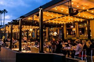 Best Vegan Restaurant Burbank CA: Find Delicious Eats | Discover Delicious Vegan Food, Beauty Swaps, and Zero-Waste Tips for a Greener Life