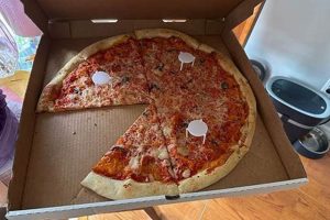 Best Vegan Pizza Orlando FL: Find Your Perfect Slice! | Discover Delicious Vegan Food, Beauty Swaps, and Zero-Waste Tips for a Greener Life