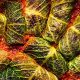 Easy Vegan Cabbage Recipes: Healthy & Delicious | Discover Delicious Vegan Food, Beauty Swaps, and Zero-Waste Tips for a Greener Life