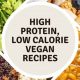 Boost Protein: Low Calorie Vegan Recipes & More! | Discover Delicious Vegan Food, Beauty Swaps, and Zero-Waste Tips for a Greener Life