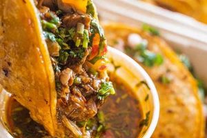 The BEST Vegan Birria Recipe! [Easy] | Discover Delicious Vegan Food, Beauty Swaps, and Zero-Waste Tips for a Greener Life