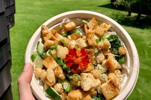Kauai Vegan Food: Your Island Plant-Based Guide | Discover Delicious Vegan Food, Beauty Swaps, and Zero-Waste Tips for a Greener Life
