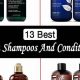 Top Rated Best Vegan Shampoo & Conditioner: For Your Hair | Discover Delicious Vegan Food, Beauty Swaps, and Zero-Waste Tips for a Greener Life
