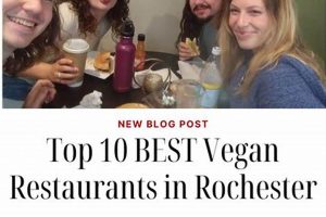 Best Vegan Restaurants Rochester: Find Your Perfect Meal! | Discover Delicious Vegan Food, Beauty Swaps, and Zero-Waste Tips for a Greener Life