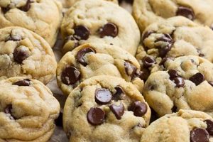 Shop the Best Vegan Cookies to Buy Today! Discover Delicious Vegan Food, Beauty Swaps, and Zero-Waste Tips for a Greener Life Shop the Best Vegan Cookies to Buy Today! | Discover Delicious Vegan Food, Beauty Swaps, and Zero-Waste Tips for a Greener Life