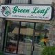 Framingham's Best Green Leaf Vegetarian & Vegan Restaurant! | Discover Delicious Vegan Food, Beauty Swaps, and Zero-Waste Tips for a Greener Life