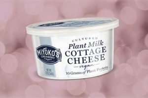 Best Vegan Cottage Cheese Brands: Taste & Texture! | Discover Delicious Vegan Food, Beauty Swaps, and Zero-Waste Tips for a Greener Life