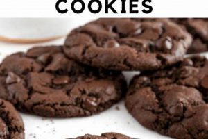 The Best Vegan Double Chocolate Chip Cookies (Easy!) Discover Delicious Vegan Food, Beauty Swaps, and Zero-Waste Tips for a Greener Life The Best Vegan Double Chocolate Chip Cookies (Easy!) | Discover Delicious Vegan Food, Beauty Swaps, and Zero-Waste Tips for a Greener Life