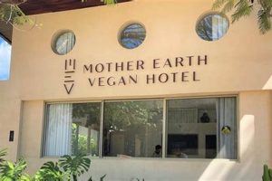 Eco Escape: Mother Earth Vegan Hotel Guide & Benefits Discover Delicious Vegan Food, Beauty Swaps, and Zero-Waste Tips for a Greener Life Eco Escape: Mother Earth Vegan Hotel Guide & Benefits | Discover Delicious Vegan Food, Beauty Swaps, and Zero-Waste Tips for a Greener Life