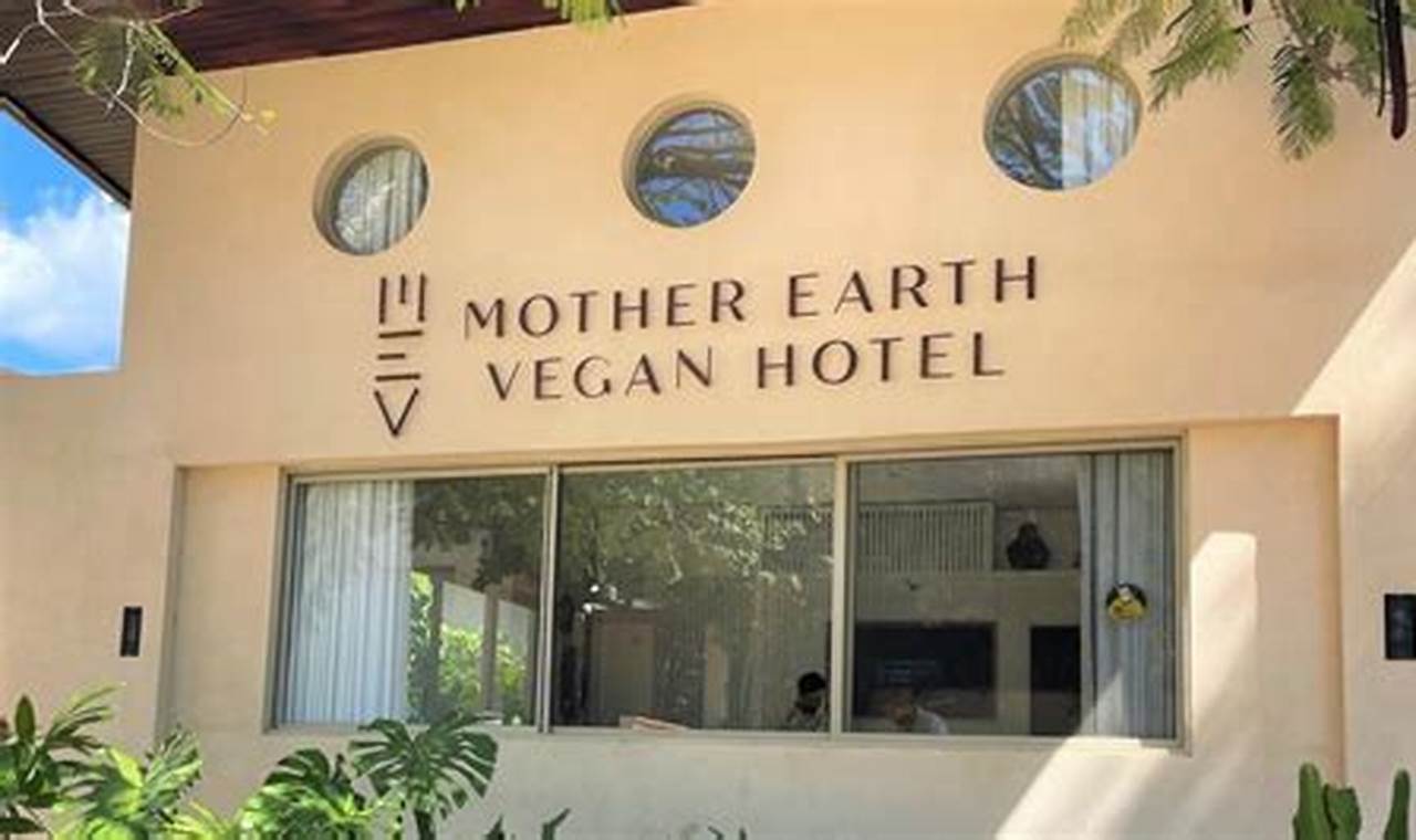 Eco Escape: Mother Earth Vegan Hotel Guide & Benefits Discover Delicious Vegan Food, Beauty Swaps, and Zero-Waste Tips for a Greener Life Eco Escape: Mother Earth Vegan Hotel Guide & Benefits | Discover Delicious Vegan Food, Beauty Swaps, and Zero-Waste Tips for a Greener Life