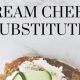 Dairy-Free vs. Vegan: What's the Difference? | Discover Delicious Vegan Food, Beauty Swaps, and Zero-Waste Tips for a Greener Life