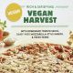 Best Vegan Harvest Pizza: Fall's Flavor Bites | Discover Delicious Vegan Food, Beauty Swaps, and Zero-Waste Tips for a Greener Life