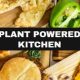 Find Gluten-Free & Vegan Restaurants Near Me: Easy Guide | Discover Delicious Vegan Food, Beauty Swaps, and Zero-Waste Tips for a Greener Life