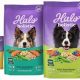 Is Halo Vegan Dog Food Right For Your Dog? - Guide | Discover Delicious Vegan Food, Beauty Swaps, and Zero-Waste Tips for a Greener Life