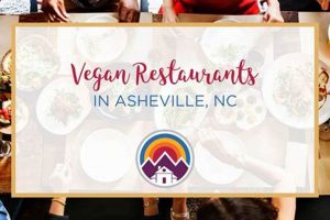 The Vegan's Guide to Asheville: Dining, Shops & More Discover Delicious Vegan Food, Beauty Swaps, and Zero-Waste Tips for a Greener Life The Vegan's Guide to Asheville: Dining, Shops & More | Discover Delicious Vegan Food, Beauty Swaps, and Zero-Waste Tips for a Greener Life