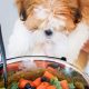 Easy Vegan Dog Food Recipe: Homemade & Healthy | Discover Delicious Vegan Food, Beauty Swaps, and Zero-Waste Tips for a Greener Life