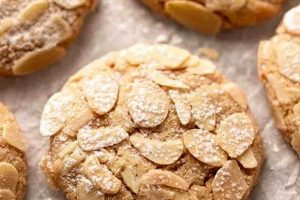 Easy Vegan Almond Flour Recipes: Your Gluten-Free Guide! Discover Delicious Vegan Food, Beauty Swaps, and Zero-Waste Tips for a Greener Life Easy Vegan Almond Flour Recipes: Your Gluten-Free Guide! | Discover Delicious Vegan Food, Beauty Swaps, and Zero-Waste Tips for a Greener Life