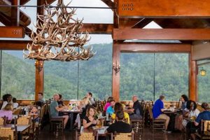Best Vegan Restaurants in Gatlinburg, TN: Guide &amp; More | Discover Delicious Vegan Food, Beauty Swaps, and Zero-Waste Tips for a Greener Life