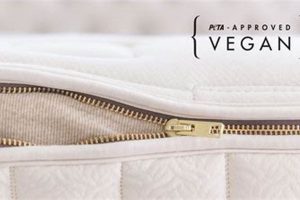 Guide: Finding Your Best Vegan Mattress Today! | Discover Delicious Vegan Food, Beauty Swaps, and Zero-Waste Tips for a Greener Life