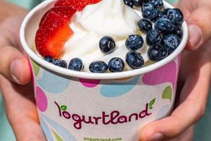Your Guide: Vegan Options at Yogurtland + Tips | Discover Delicious Vegan Food, Beauty Swaps, and Zero-Waste Tips for a Greener Life