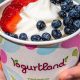 Your Guide: Vegan Options at Yogurtland + Tips | Discover Delicious Vegan Food, Beauty Swaps, and Zero-Waste Tips for a Greener Life