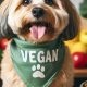 The Ultimate Vegan Pet Food Guide: Benefits & Brands | Discover Delicious Vegan Food, Beauty Swaps, and Zero-Waste Tips for a Greener Life
