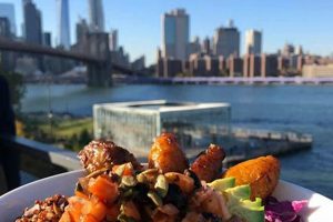 Discover: NYC Best Vegan Eats &amp; Beyond! | Discover Delicious Vegan Food, Beauty Swaps, and Zero-Waste Tips for a Greener Life