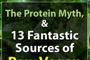 Boost Raw Vegan Protein: Benefits &amp; Best Sources! | Discover Delicious Vegan Food, Beauty Swaps, and Zero-Waste Tips for a Greener Life