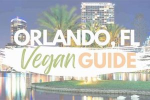Orlando's Best Vegan Friendly Restaurants: Dining Guide | Discover Delicious Vegan Food, Beauty Swaps, and Zero-Waste Tips for a Greener Life