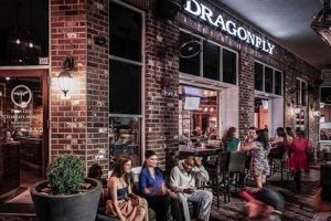 Best Vegan Restaurants Gainesville FL: Your Guide | Discover Delicious Vegan Food, Beauty Swaps, and Zero-Waste Tips for a Greener Life