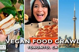Best Vegan Food Toronto: Your Guide + Reviews | Discover Delicious Vegan Food, Beauty Swaps, and Zero-Waste Tips for a Greener Life