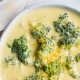 Easy Vegan Broccoli Cheese Soup Recipe [Cheesy!] | Discover Delicious Vegan Food, Beauty Swaps, and Zero-Waste Tips for a Greener Life