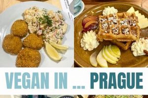 Guide to Prague Vegan Food: Best Restaurants &amp; More! | Discover Delicious Vegan Food, Beauty Swaps, and Zero-Waste Tips for a Greener Life