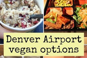 Vegan Denver Airport Food Guide: Eat Plant-Based! | Discover Delicious Vegan Food, Beauty Swaps, and Zero-Waste Tips for a Greener Life